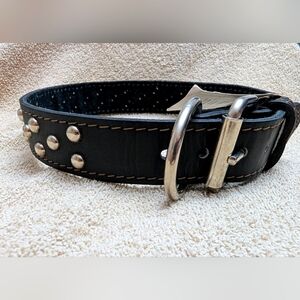 Black, studded dog collar, 26"